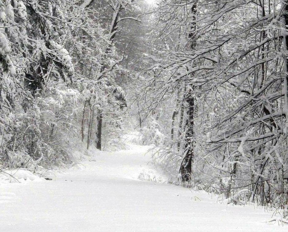 Schneefallgrenze sinkt auf den Kanaren auf 1.000 Meter