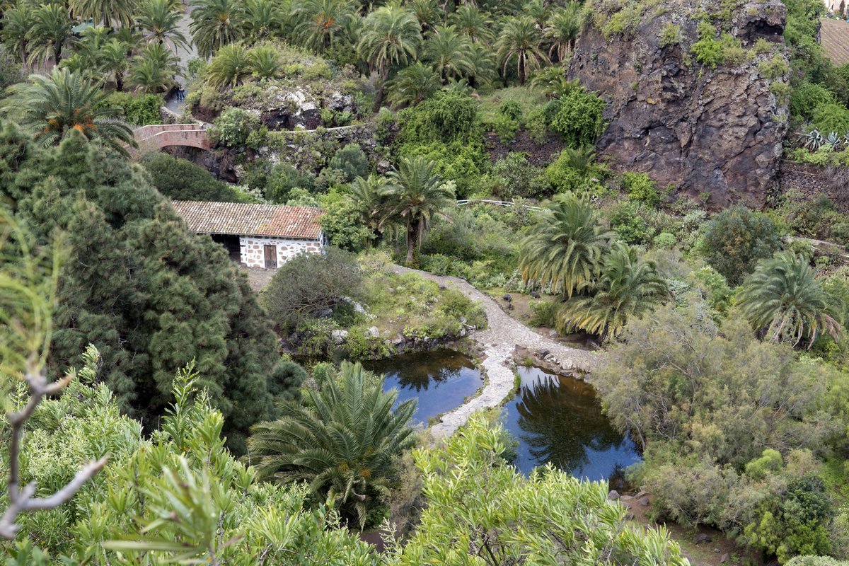 Botanischer Garten in Las Palmas de Gran Canaria hat 2017 Besucherrekord aufgestellt