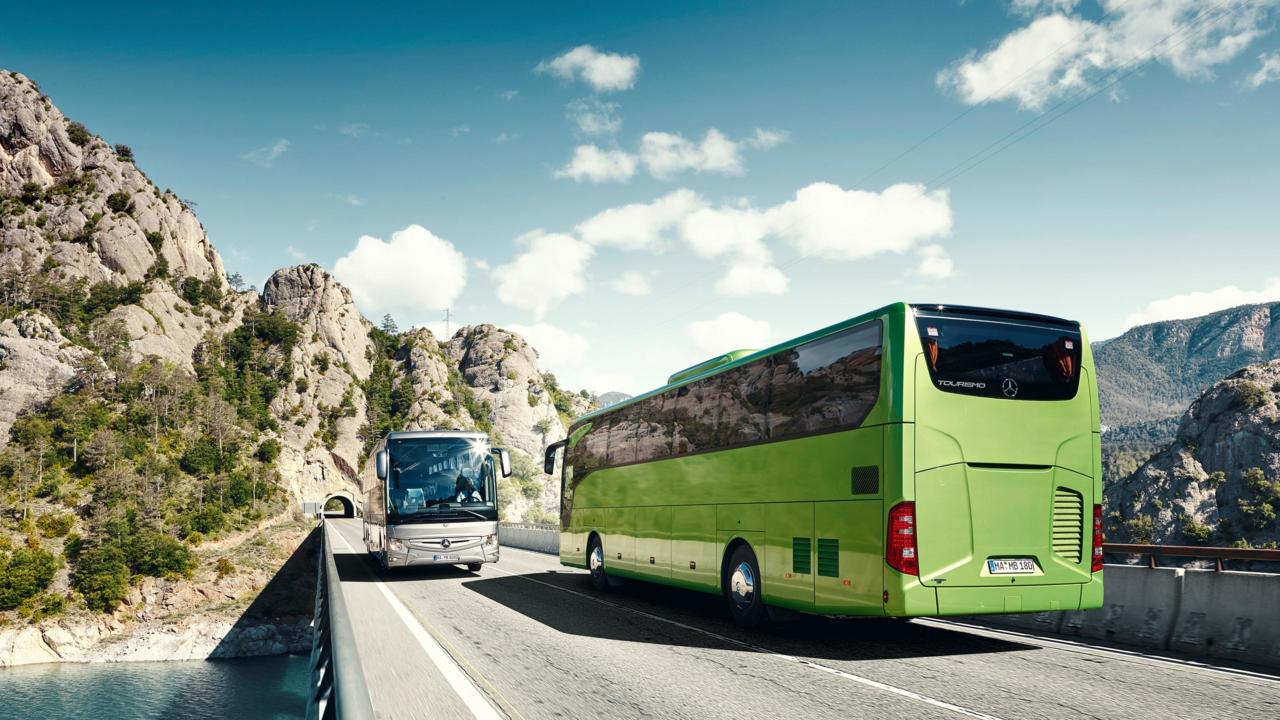 Illegale Reiseführer auf Teneriffa erwischt Illegale Reiseführer auf Teneriffa erwischt