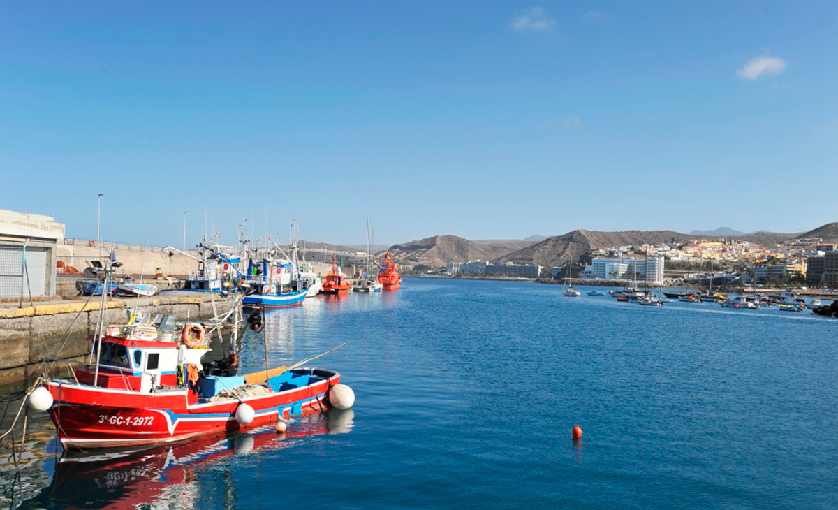 Der erste Thunfischfang der Saison 2018 wurde auf Gran Canaria eingebracht