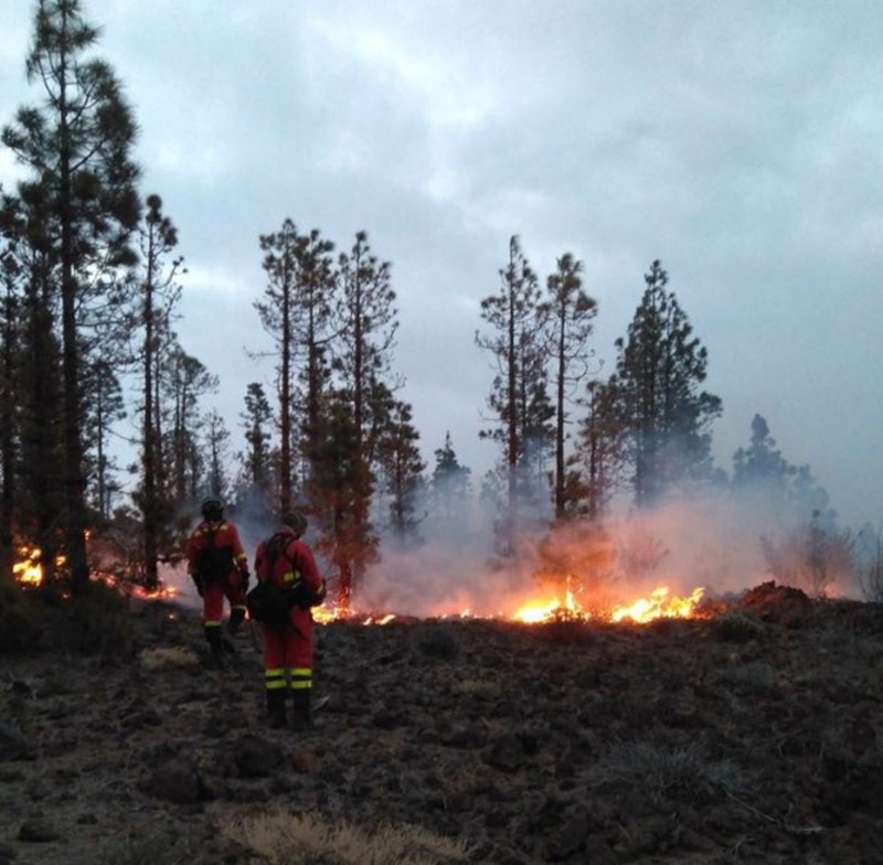 Brände auf Teneriffa zerstören über 350 Hektar Wald und Buschland