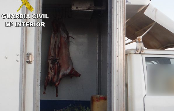 Kühllaster mit illegalem Fleisch und defekter Kühlung bei Puerto del Rosario erwischt