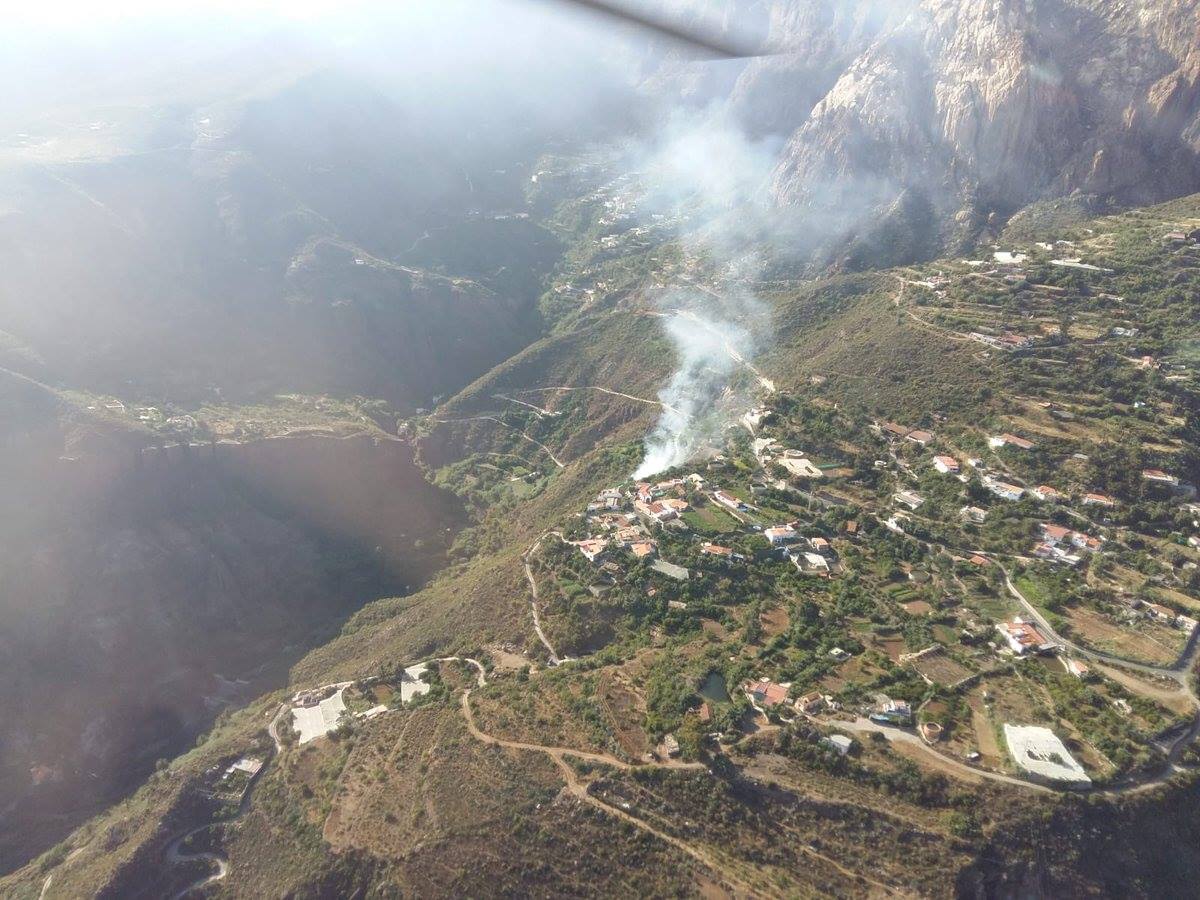 Brand in Risco Blanco verbrennt 1.200qm Land