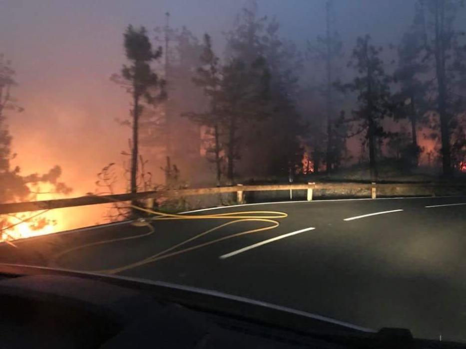 Waldbrand auf Teneriffa an der TF-21 ausgebrochen