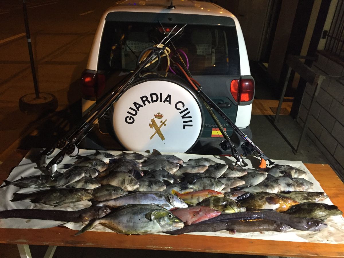 35 Kg illegal gefangener Fisch auf Teneriffa beschlagnahmt