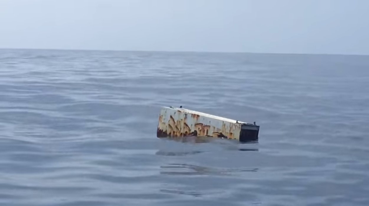 Schwimmender Kühlschrank bei Whale Watching-Tour entdeckt Schwimmender Kühlschrank bei Whale Watching-Tour entdeckt