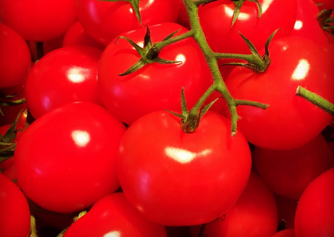 Drei Bauern auf Fuerteventura stellen Anbau von Tomaten ein