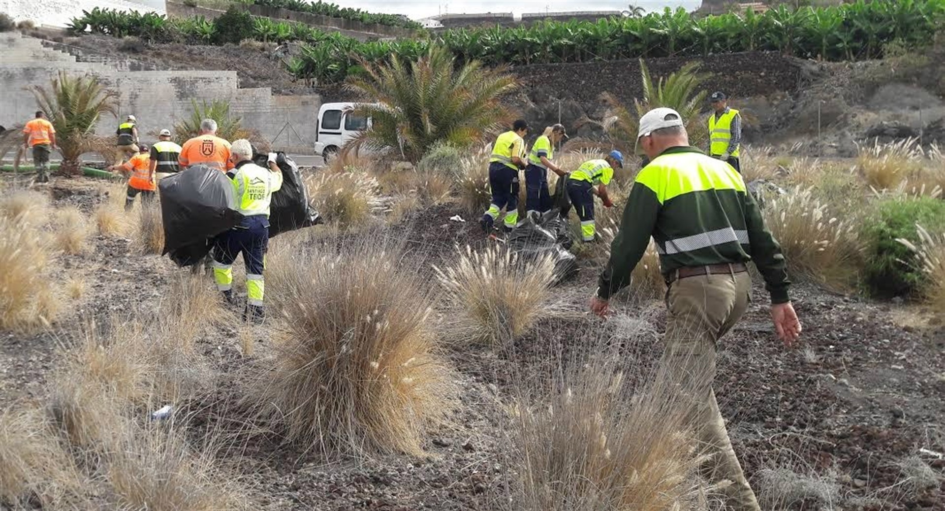 33 Tonnen invasive Pflanzen auf Teneriffa entfernt