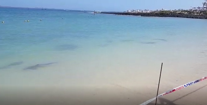 Hai-Alarm – Strandabschnitt in Corralejo gesperrt