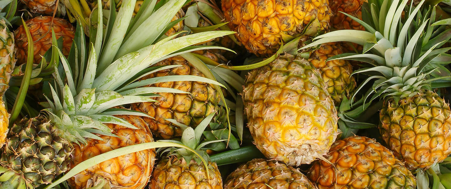 Illegal importierte Ananas-Früchte auf Fuerteventura beschlagnahmt