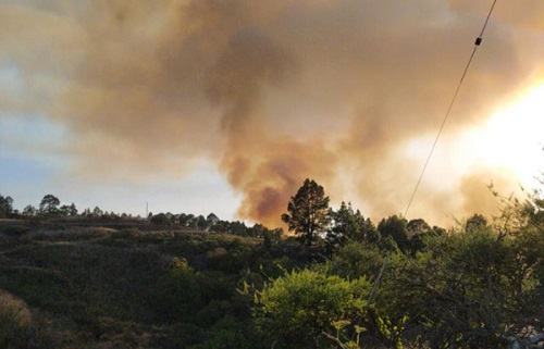 Feuer auf La Gomera: 1,5 Hektar verbrannt