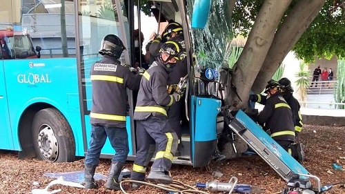 Linienbus fuhr gegen Baum – Fahrer schwer verletzt