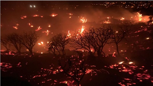 Feuerwehr kämpft weiter gegen Brand auf La Palma