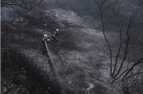 Mögliche Brandstiftung beim Großbrand von La Orotava