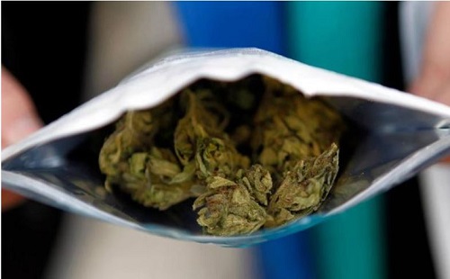Apotheken sprechen sich für medizinisches Cannabis aus