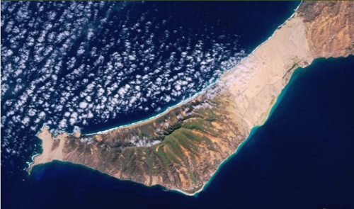 Fuerteventura erscheint grün aus dem Weltall