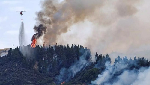Waldbrandgefahr aufgrund hoher Temperaturen